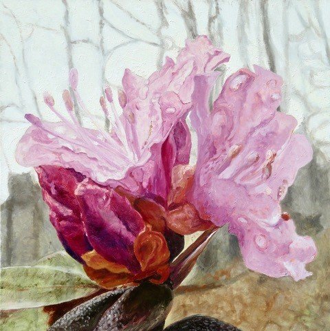 Azalea, oi on canvas, 36 x 36 in.
