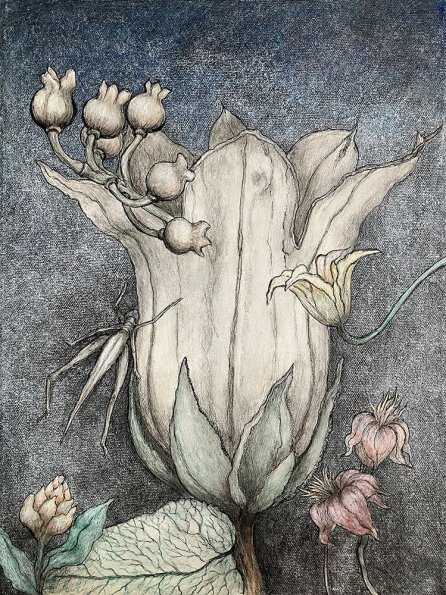 Bellflower, Acrylic, pencil, ink, paper, acrylic medium on canvas, 12 x 16