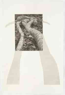 Acadia 1, 22" x 15", screenprint over photogravure