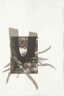 Acadia 2, 22" x 15", photogravure with screenprint
