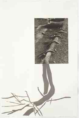 Acadia 3, 22" x 15", photogravure with screenprint