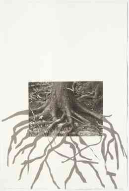 Acadia 4, 22" x 15", photogravure with screenprint