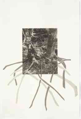 Acadia 6, 22" x 15", photogravure with screenprint