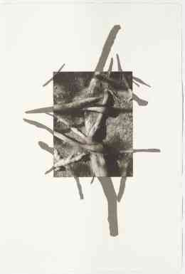 Acadia 7, 22" x 15", photogravure with screenprint